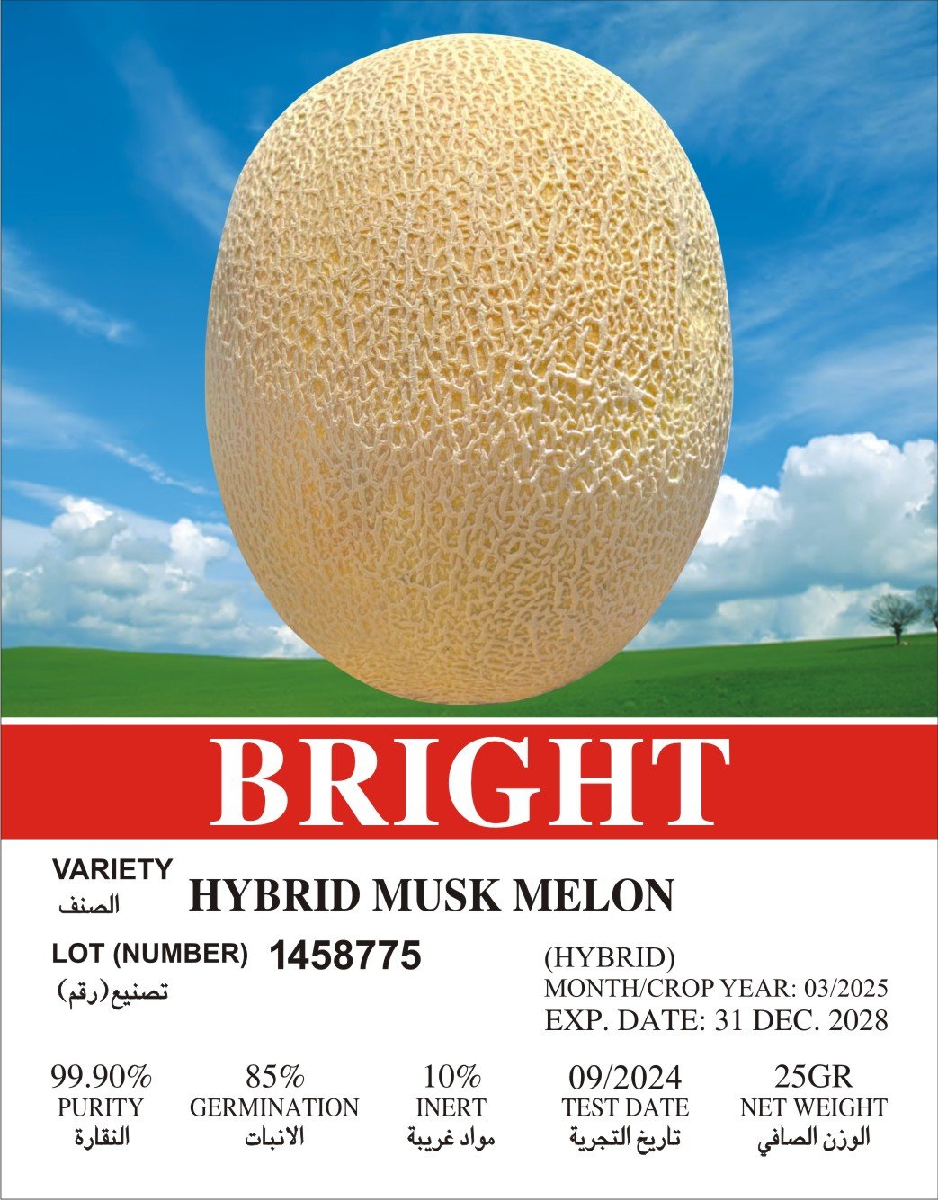 Bright Melon