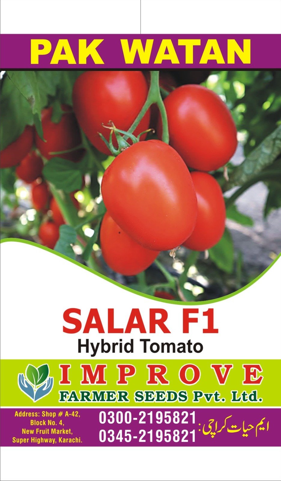 Salar F1 tomato