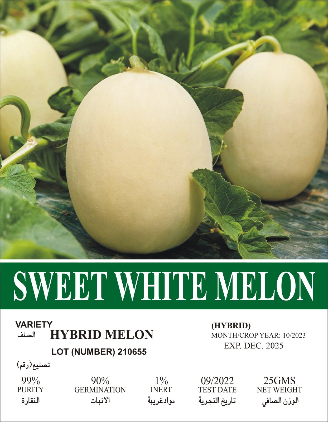 Sweet White Melon