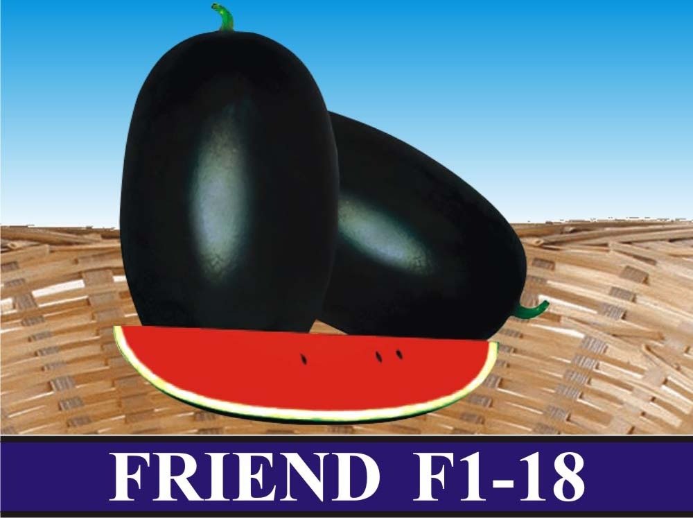 Friend F1 F8 Watermelon